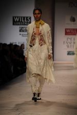 Model walks the ramp for Anju Modi at Wills Lifestyle India Fashion Week Autumn Winter 2012 Day 1 on 15th Feb 2012 (6).JPG